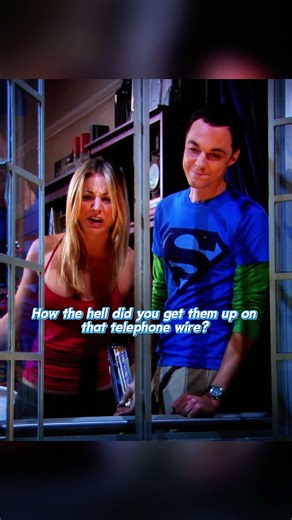 How did you get them up on that telephone wire? | #bazinga #tbbt #sheldon #funny