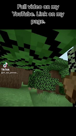 VR Minecraft Journey: Conquest Through Virtual Reality