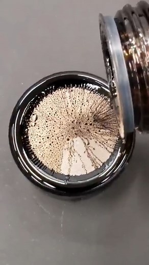 1.5M views · 6.4K reactions | Ferrofluid Art 勞 | NileRed | Facebook