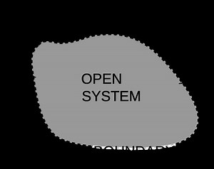 Open system (systems theory) - Alchetron, the free social encyclopedia