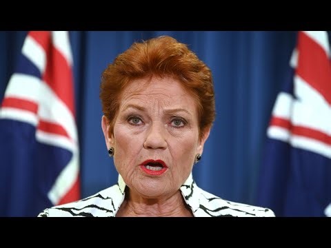 Pauline Hanson declares One Nation the ‘true opposition’ after Liberal leadership shake-up