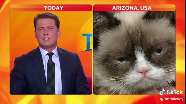Grumpy Cat's Hilarious Interview with Today Show Australia
