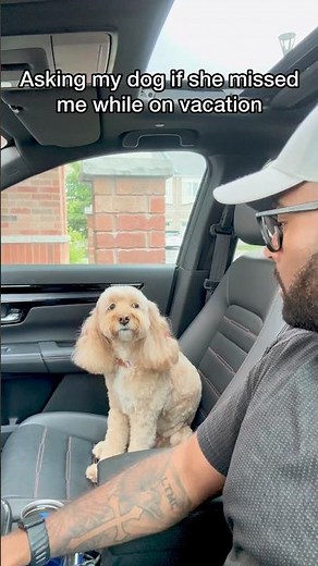 Mini Cockapoo Tells Her Dad She Misses Him 🥹
