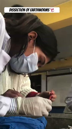 Dissection of earthworms 🪱