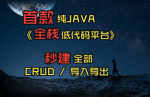 快速创建CRUD，首款基于若依的JAVA全栈低代码平台介绍