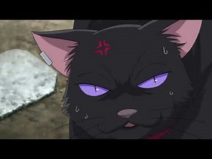 Darker than Black - Fighting cat