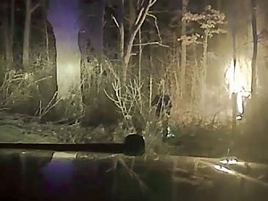 WATCH: Police officer rescues man from car fire