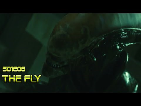 "The Fly" - Alien: Earth S01E06 Review