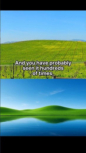 "The Story Behind Windows XP’s Iconic Wallpaper" #art #history #painting