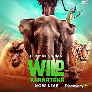 1.9K views · 41 reactions | The peppy remix of the OST of Wild Karnataka by Grammy award winner Ricky Kej is surely going to give you goosebumps! Stream it exclusively on Gaana https://gaa.na/WildKarnatakaRemix Discovery Plus India | Gaana | Facebook