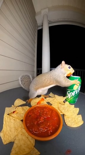 1.2K views | Carolina Reaper Salsa with Tortilla Chips #reelsviralシ #funnymoments #animation #fblifestyle #animals | Metapet World | Facebook