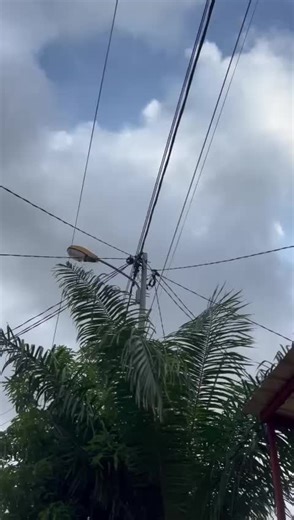 le song la #offside dégaine nagaine