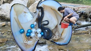 325K views · 9.2K reactions | The abundant production of freshwater pearls, each of which is a wonderful treasure | Xiaohuiya | Facebook