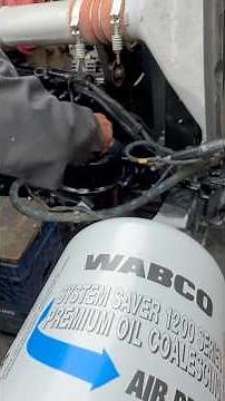 Commonly overlooked, air dryer filter replacement #cascadia #freightliner #trucking