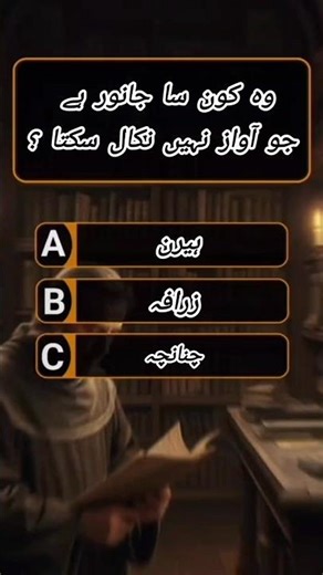 What are COMMON Islamic questions? #islamicquestion#islamiquiz#generalknowledge