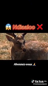 Message fort | 2A 2S TV