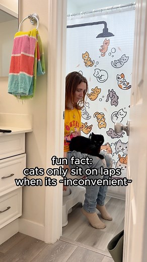 15K views · 944 reactions | cat logic  #cat #funnycat #catmemes #catlogic #catperson #blackcat #oneeareduno | One eared uno | Facebook