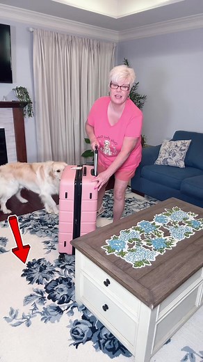 Perfect 28-Inch Pink Suitcase for Vacation | Combo Lock & Luxury Features