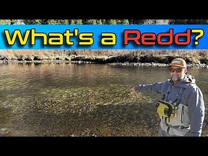 Trout Spawning Season: The Angler's Code & How to Protect the Redds