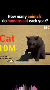 7.2K views · 33 reactions | Caa Cris on Reels | Facebook