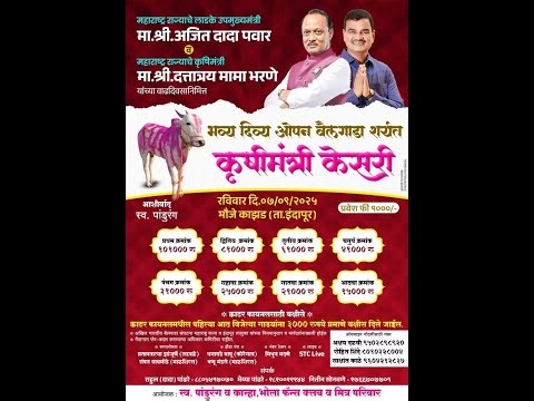 भव्य दिव्य ओपन बैलगाडा शर्यत कृषीमंत्री केसरी -2025 काझड