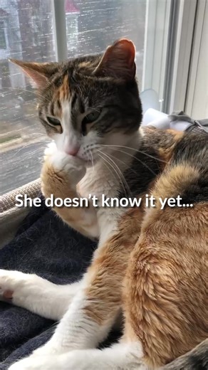 Keep your life intact and your degree on track. Earn real college credits online, at your pace with StraighterLine. | StraighterLine