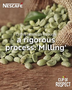 After harvesting, coffee cherries go through milling. This gets rid of the outer fruit as well as the parchment-like skin around the bean. The result is called green coffee, and quality control at this stage is vital. Our experts work closely with coffee suppliers to make sure the coffee we use lives up to the world-famous NESCAFÉ name. ​ #NESCAFÉplan #GrownRespectfully #NESCAFÉ | NESCAFÉ