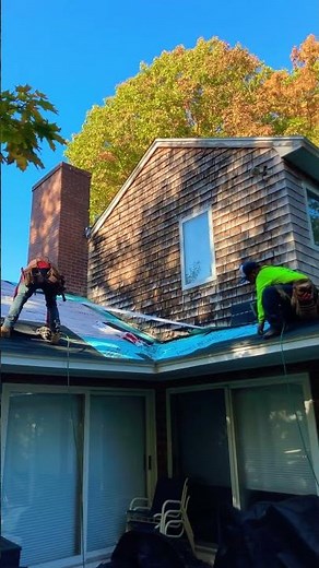 How to properly install a 3 tab shingle roof? #roofing #roofingcontractor #roofingshingles