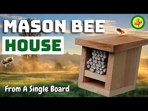 How To Build a MASON BEE HOUSE - From SINGLE FENCE BOARD - Easy DIY