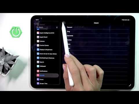 Wie ändere ich die Erinnerungsbenachrichtigungen auf dem iPad Pro 11 (2025)?