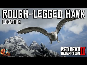 Rough-Legged Hawk Location - Red Dead Redemption 2