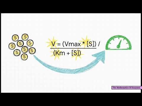 Master Enzyme Kinetics in Minutes | Easy Biochemistry Lesson I Michaelis-Menten Equation