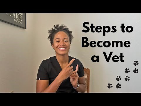 Steps to Become a Vet - What to do to apply to vet school