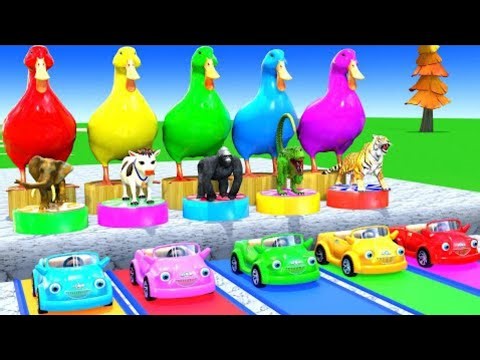 Funny Animals Racing! Learn Colors with Elephant, Cow, Tiger & Gorilla 3D Animation for Kids
