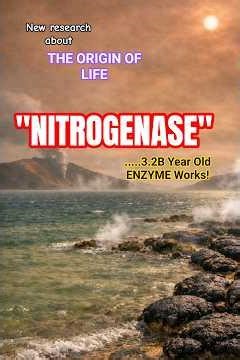 Nitrogenase: How "Living Fossils" Rewrite history of origin of the Life on Earth