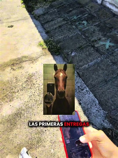 Descubre los Mejores Perfumes en Managua