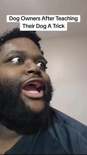 #dogs #dog #monarchmuirz #18 #mmuirz | Monarch Muirz