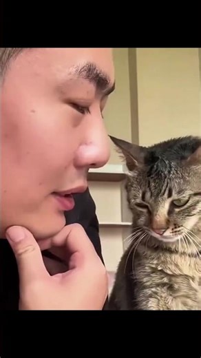 Why House Cats Act Like Babies Forever 😹🐱