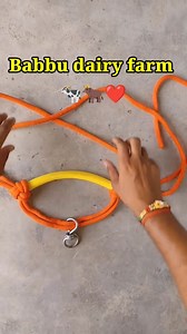 1.3M views · 21K reactions | Babbu dairy farm #dairyfarm #babbudairyfarm #buffalo #cows #farming | Babbu Dairy Farm | Facebook