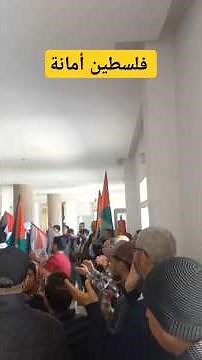 احتجاجات وسط مستشفى الفارابي دعما لفلسطين #news #اكسبلور