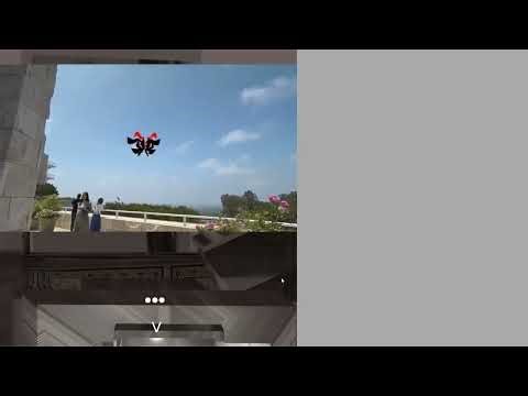 I genuinely thought this game wasn't real | A Fly in the Array