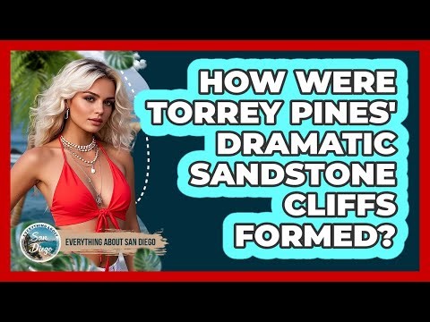 How Were Torrey Pines' Dramatic Sandstone Cliffs Formed? - Everything About San Diego