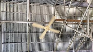 ceiling fans spin above the tin roof on hot days