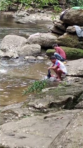 Root Bridge & waterfall