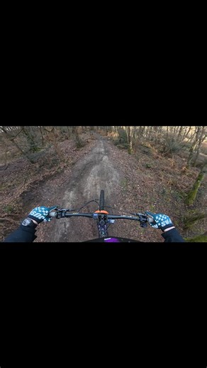 Supernova trail - Peaslake Surrey Hills | The Pedal Collective