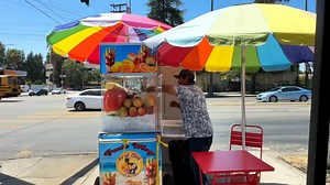 LA City Council reduces its street vendor permit prices