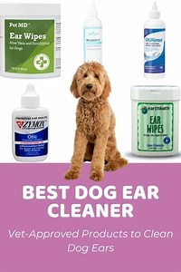 Best Dog Ear Cleaner: Vet-Approved Products - Doodle Doods