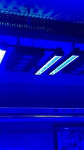 3.9K views · 56 reactions | The Hulk 600 Gallon Reef Tank Tour Update Plus Reef Brite XHO-30 Unveiling come and check out all the episodes of the build . please subscribe  https://www.youtube.com/user/AIVENDETTA32 | FARM BOY REEF | Facebook