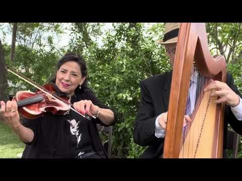 Moon River Instrumental Harp & Violin