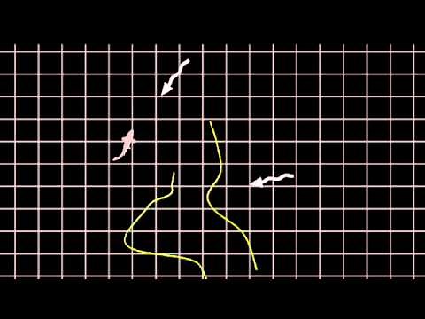 Fly Fishing - How to mend line